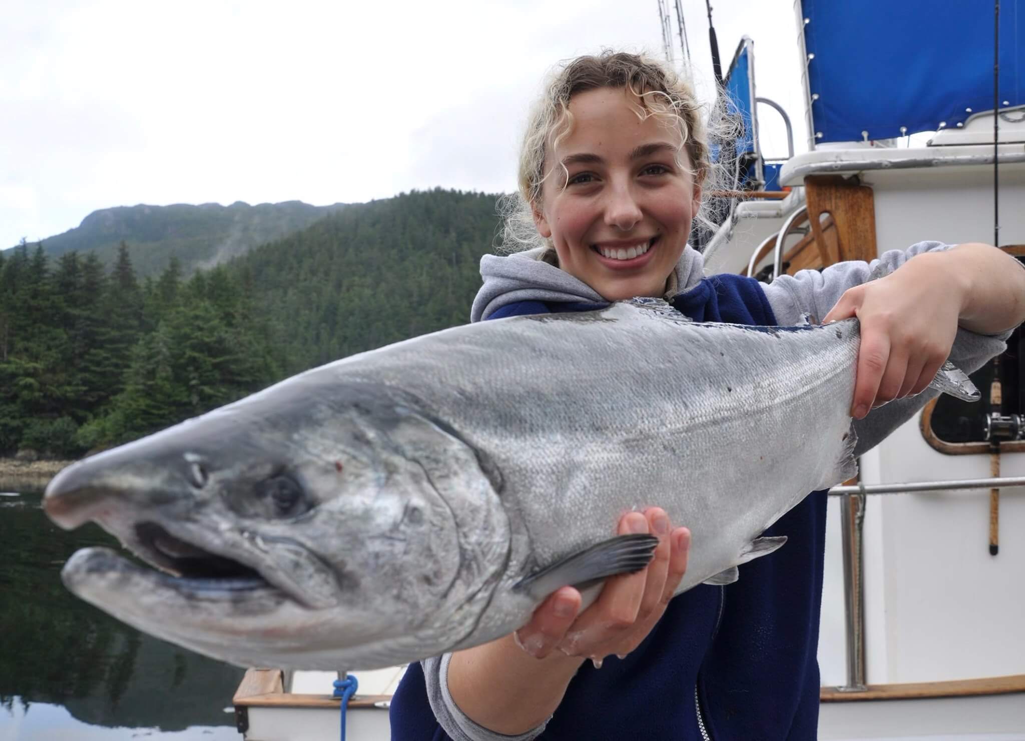 alaska coho salmon