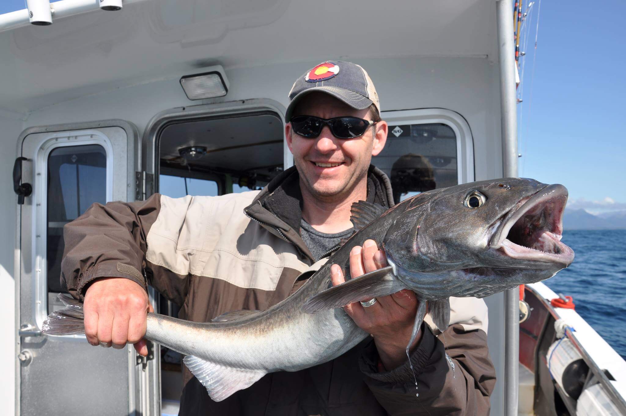 black cod alaska