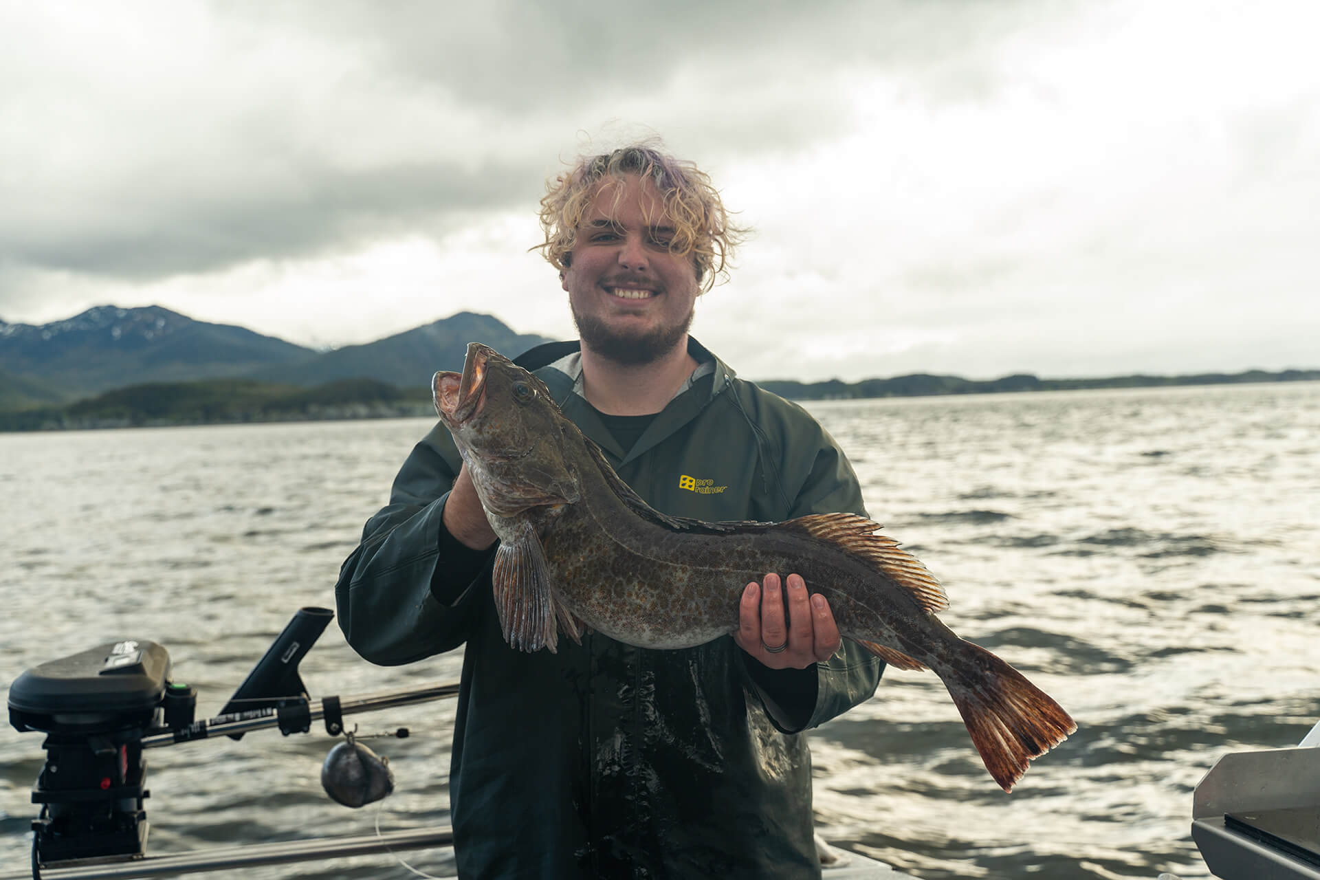 alaska lingcod